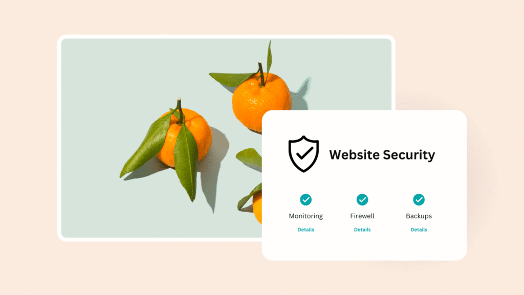 Website Security